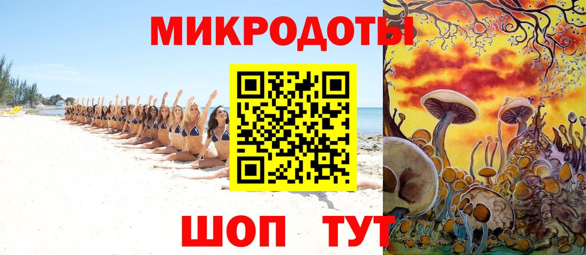 Псилоцибиновые грибы Cubensis Воронеж